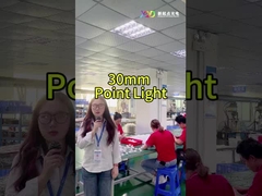 パンジャース フルカラー LED点灯 Smd5050 IP67 24v 休日の照明のために